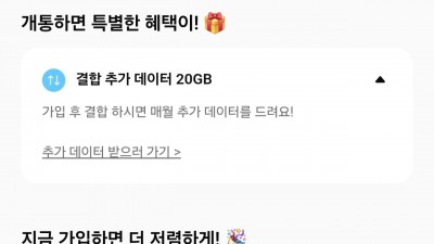 핀다이렉트 SK 100기가+5MPS 3300원