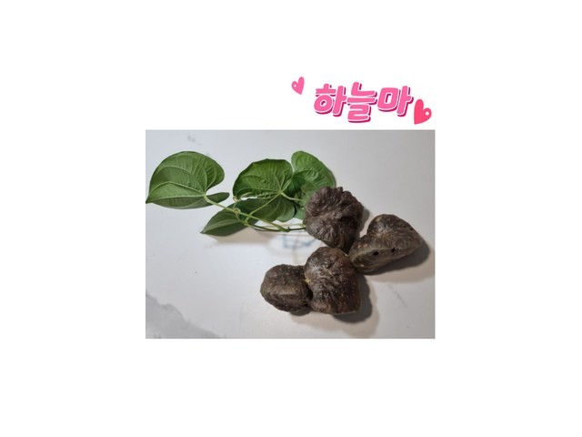 국내산하늘마 내돈내산 솔직 사용후기