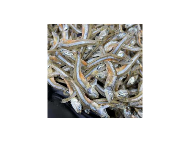 청해원한치 쇼핑 정보 공유