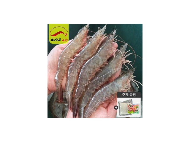 신안새우 추천 가격 및 비교 정리